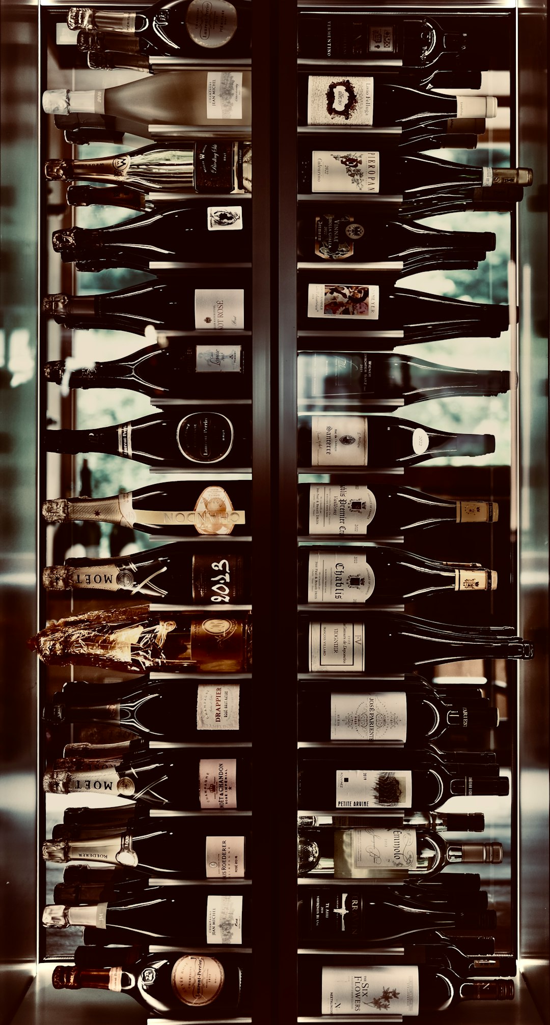 Cantina di vini